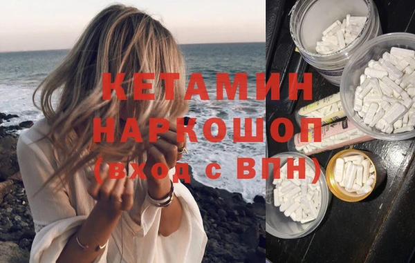 шишки Елизово