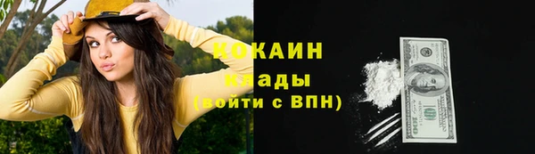 мет Ельня
