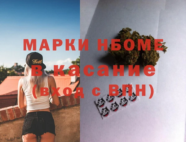 шишки Елизово