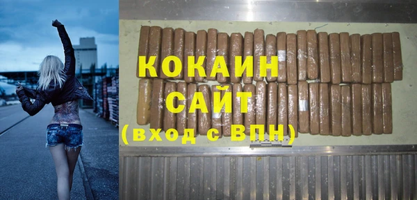 шишки Елизово