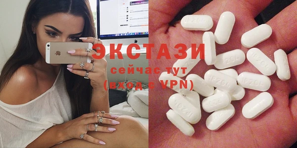 мет Ельня