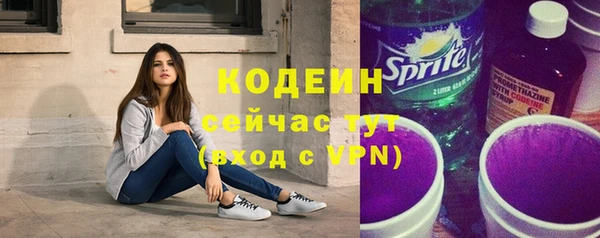 шишки Елизово