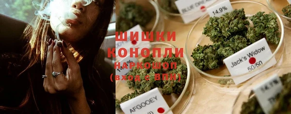 мет Ельня