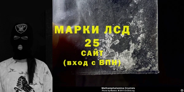 шишки Елизово