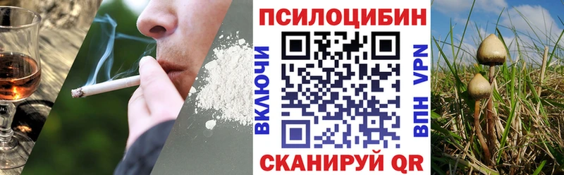 Псилоцибиновые грибы прущие грибы  Купить  Пролетарск 